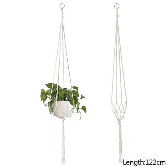 HANGING PLANT COLLECTION
