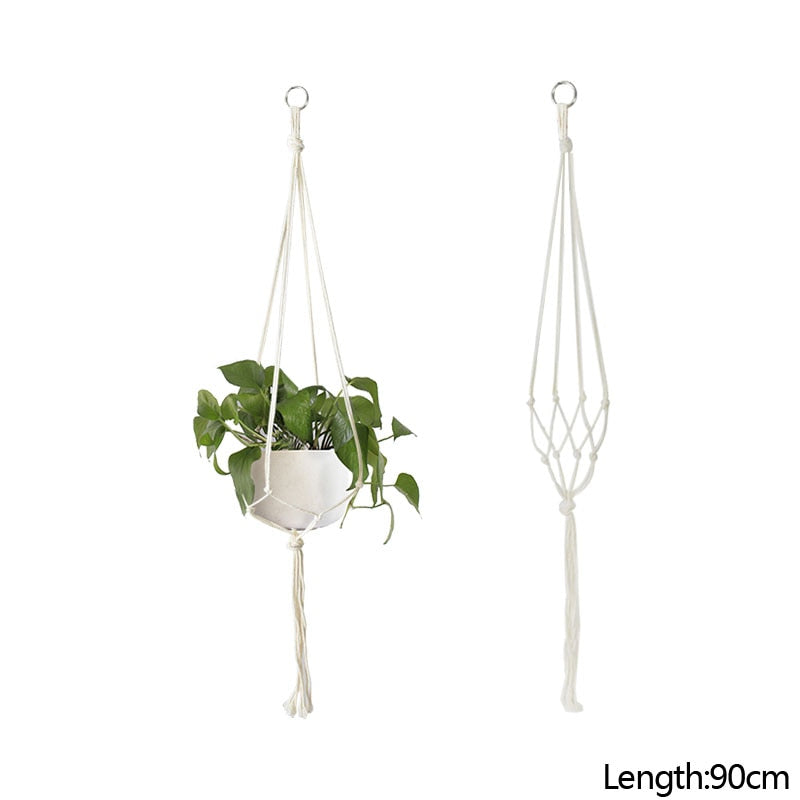 HANGING PLANT COLLECTION