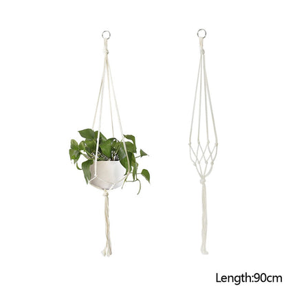 HANGING PLANT COLLECTION