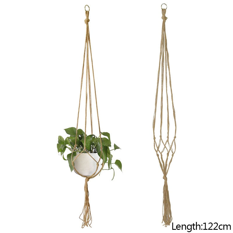 HANGING PLANT COLLECTION