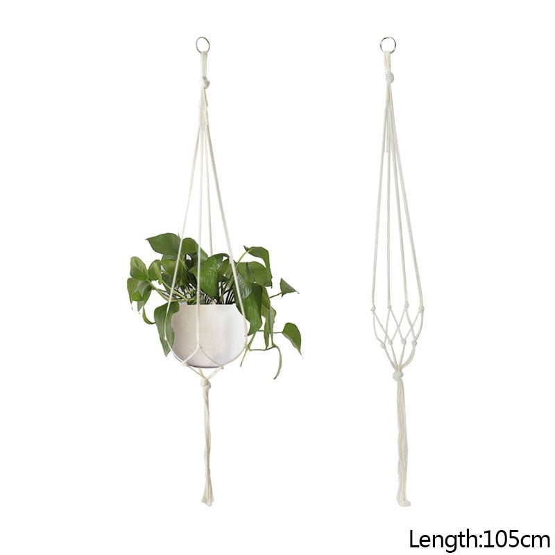 HANGING PLANT COLLECTION