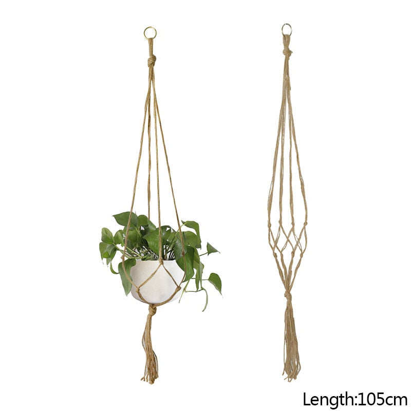 HANGING PLANT COLLECTION