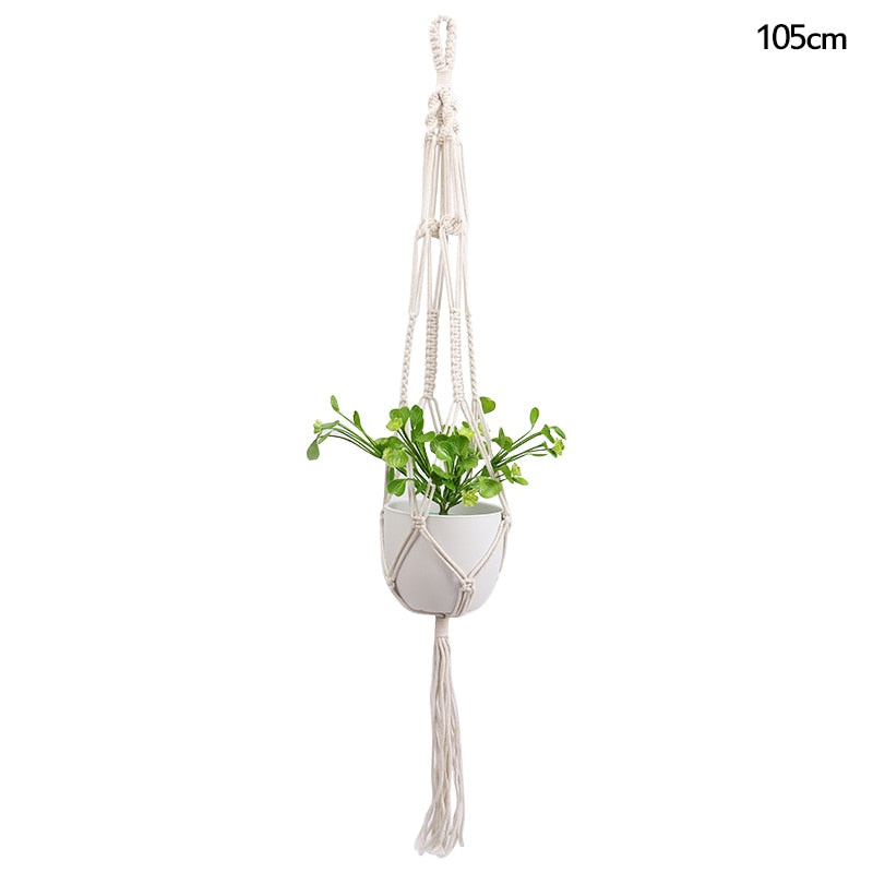 HANGING PLANT COLLECTION