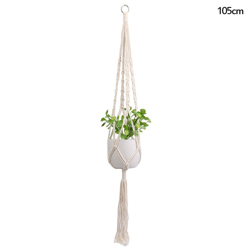 HANGING PLANT COLLECTION