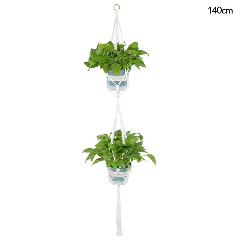 HANGING PLANT COLLECTION