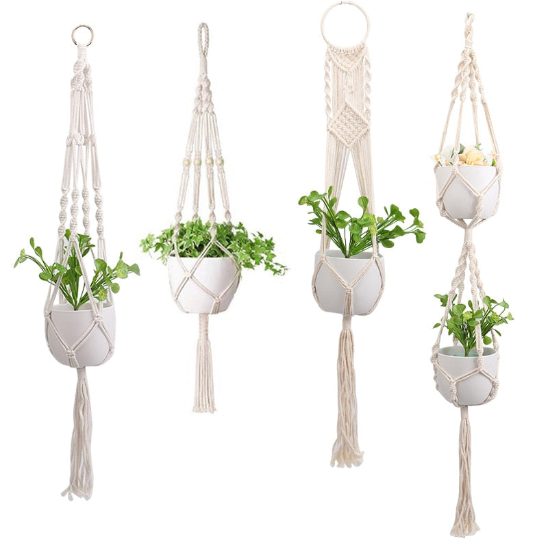 HANGING PLANT COLLECTION